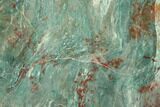 Polished Fuchsite Chert (Dragon Stone) Slab - Australia #89973-1